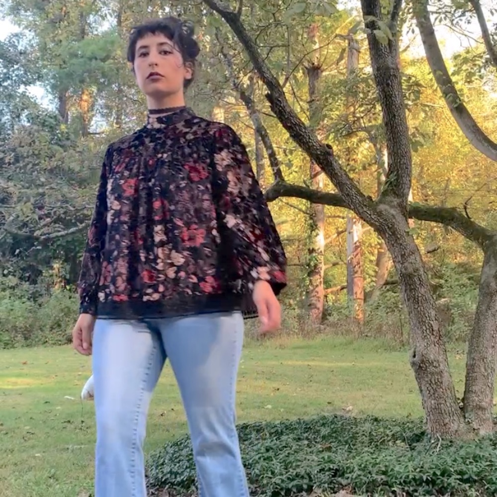 NWT Velvet Anthropologie Top